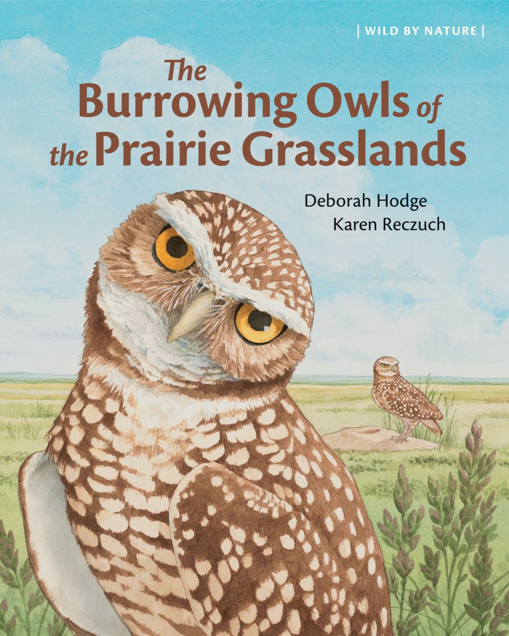 Review: The Burrowing Owls of the Prairie Grasslands